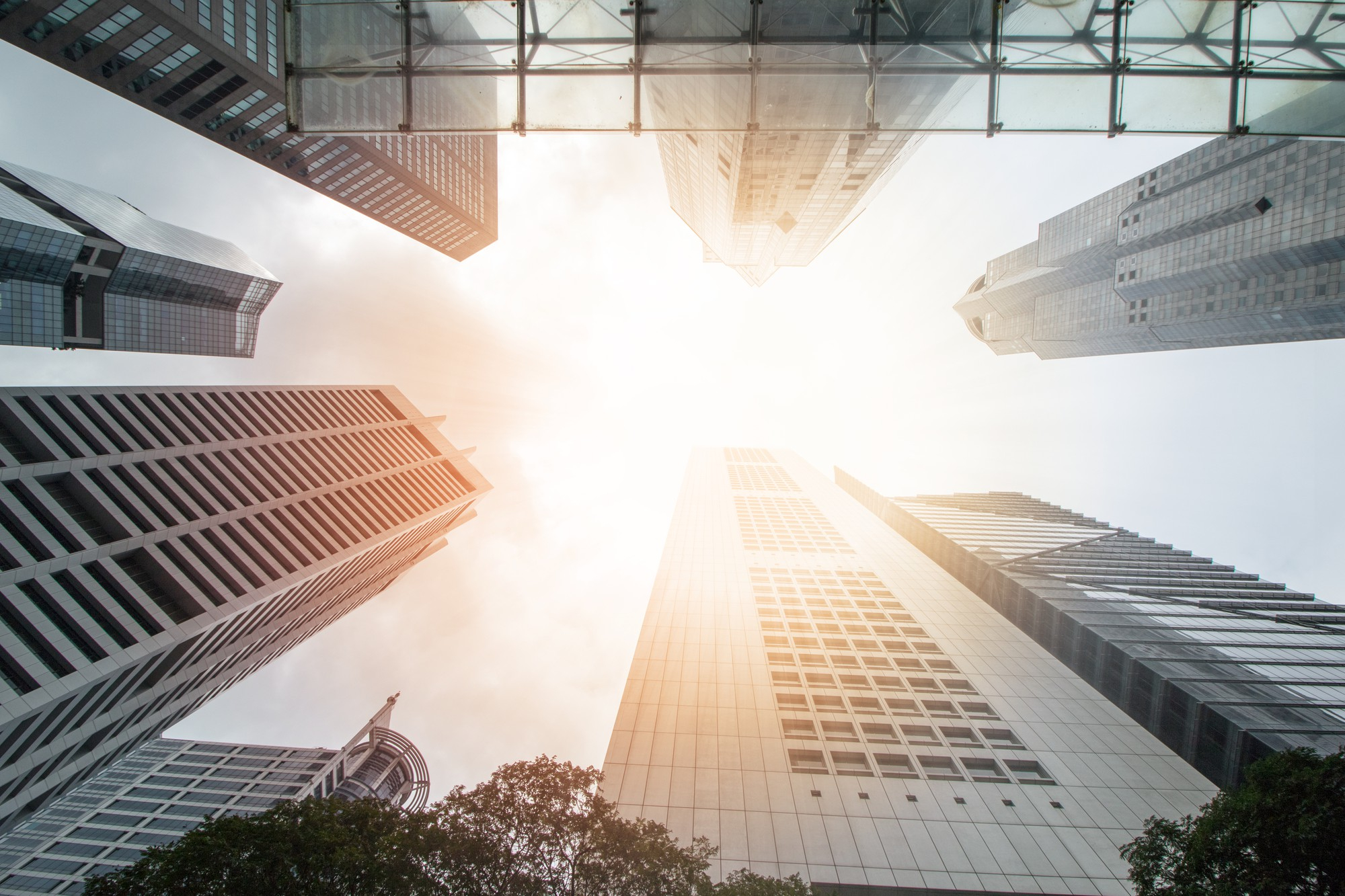 Property Funds & REITS